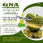 GNA Import & Export