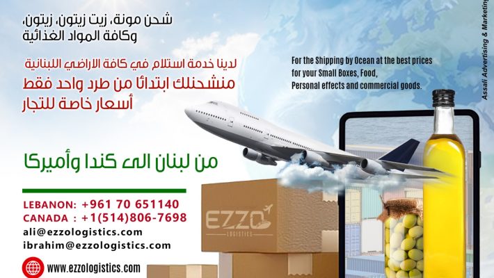 Ezzo Logistics